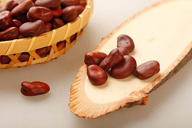 ​《星际争霸II》官宣回归，国服测试定档10月21日